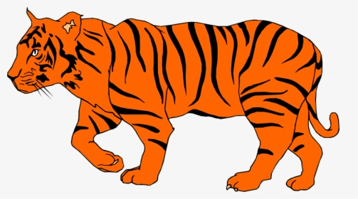 White Tiger Clipart Depauw - Orange Tiger Clipart, HD Png Download, Free Download