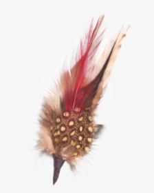 German Hat Single Feather Decor White/brown, HD Png Download, Free Download