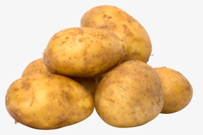 Transparent Potato Png - Potato Sprouts Poisonous, Png Download, Free Download