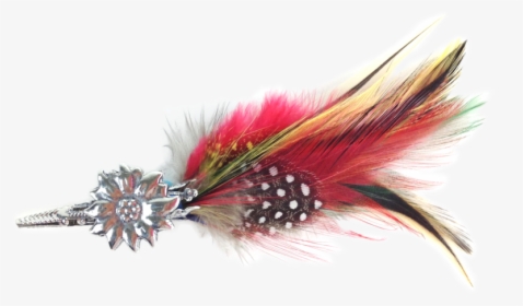 Edelweiss Hat Pin W/ Colorful Feather - Human Action, HD Png Download, Free Download