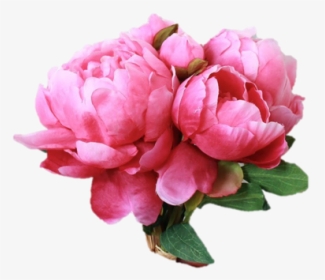 Clip Art Silk In Hot Pink - Hot Pink Peony, HD Png Download, Free Download