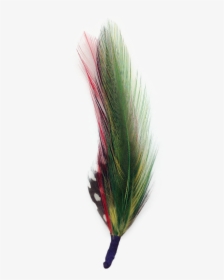 Floral Design, HD Png Download, Free Download