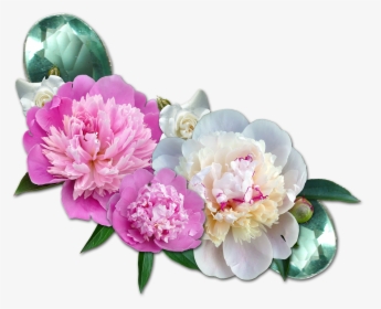Cluster Peony Roses Gems - Transparent Background Peony Flower Png, Png Download, Free Download