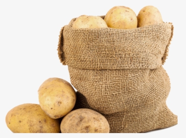 100% New Zealand - Russet Burbank Potato, HD Png Download, Free Download