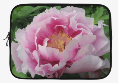 Pink Peony Floral Microsoft Surface Pro 3/4 - Древесный Пион, HD Png Download, Free Download