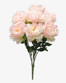 22 - Garden Roses, HD Png Download, Free Download