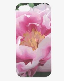Pink Peony Floral Hard Case For Iphone Se - Common Peony, HD Png Download, Free Download