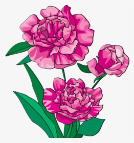 Peony Clipart - Clipart Peony, HD Png Download, Free Download