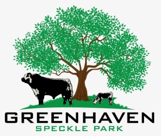 Transparent Speckle Png - Tree, Png Download, Free Download