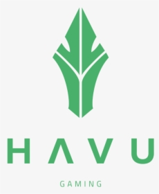 Havu Cs Go, HD Png Download, Free Download