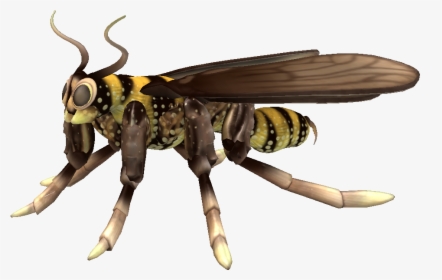 Hornet, HD Png Download, Free Download