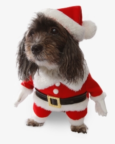 Santa Paws Dog Costume - Dog Christmas Costumes Transparent, HD Png Download, Free Download