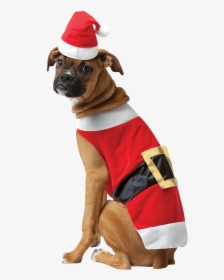 #scsantaoutfit #santaoutfit #santa Outfit #santa Claus - Christmas Outfits For Dog, HD Png Download, Free Download