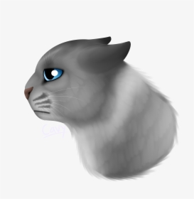 Sad Cat Png, Transparent Png, Free Download