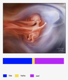 Abortion Painting, HD Png Download, Free Download