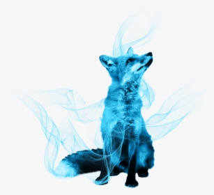 Illustration,graphic Design,drawing - Fox Transparent Background, HD Png Download, Free Download