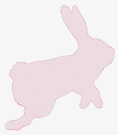 #rabbit #bunny #hare #pink #sticker #hop #hopping #jump - Domestic Rabbit, HD Png Download, Free Download