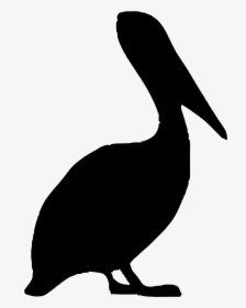 Pelican Silhouette Clip Art, HD Png Download, Free Download