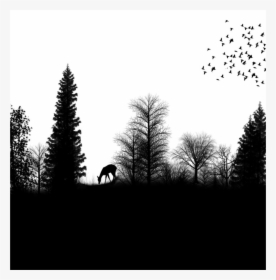 Silhouette Drawing Forest - Forest Silhouette Png, Transparent Png, Free Download