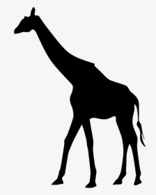 Giraffe Landscape Silhouette Minus Landscape - Giraffe African Animals Silhouette, HD Png Download, Free Download