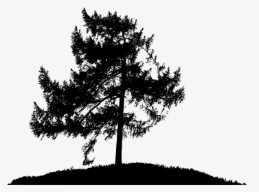 Png Pine Trees Silhouettes, Transparent Png, Free Download