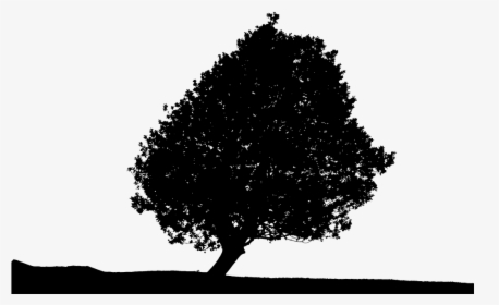 Lonely Tree Silhouette - Portable Network Graphics, HD Png Download, Free Download