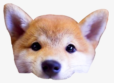 Clip Art Dog S Head By - Cute Dog Head Png, Transparent Png, Free Download