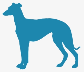 Sighthound - Greyhound Silhouette Clip Art, HD Png Download, Free Download