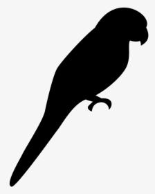 Silhouette, Bird, Parrot, Canary Islands, Canary, Chirp - Parrot Shadow, HD Png Download, Free Download