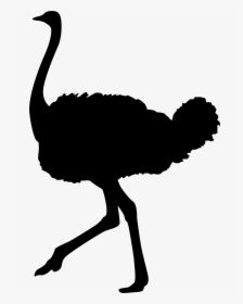 Flamingo Clipart Silhouette - Black Ostrich Clipart, HD Png Download, Free Download
