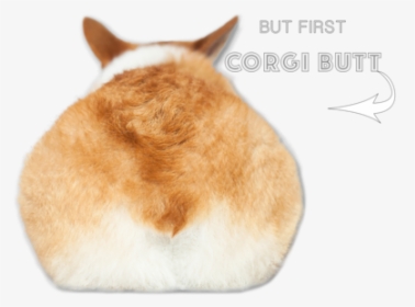 Plush, HD Png Download, Free Download