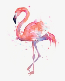 Pink Flamingo, HD Png Download, Free Download