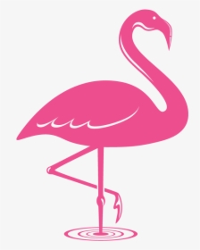 Transparent Flamingo Clipart - Flamingo Pink Icon Png, Png Download, Free Download