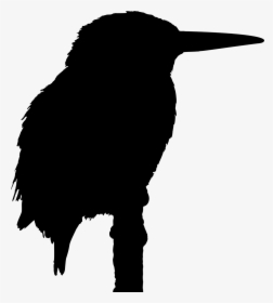 Silhouette Of A Kingfisher, HD Png Download, Free Download
