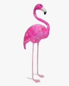 Flamingo Png Image - Flamingo Props, Transparent Png, Free Download