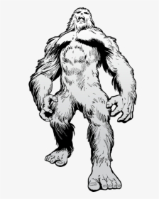 Bigfoot Drawing Transparent For Free Download - Bigfoot Clipart Black And White, HD Png Download, Free Download