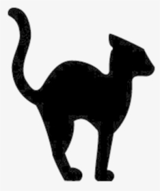 Silhouette Halloween Cat Clipart , Transparent Cartoons - Black Cat Clip Art, HD Png Download, Free Download
