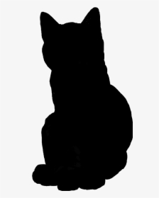 #cat #sitting #silhouette #black From My #cutout Not - Black Cat, HD Png Download, Free Download