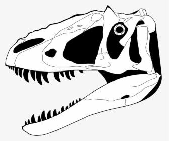 Dinosaur Skeleton Head Drawing - Dinosaur Skull Coloring Page, HD Png Download, Free Download
