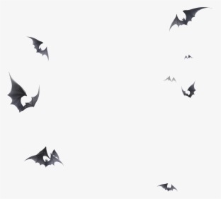 Transparent Bats Black And White Clipart - Love Nikki Ominous Bat, HD Png Download, Free Download