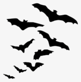 Transparent Murcielagos Png - Flock Of Bats Silhouette, Png Download, Free Download