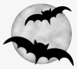 Bat,silhouette,black And Art,monochrome - Halloween Bat Clipart, HD Png Download, Free Download