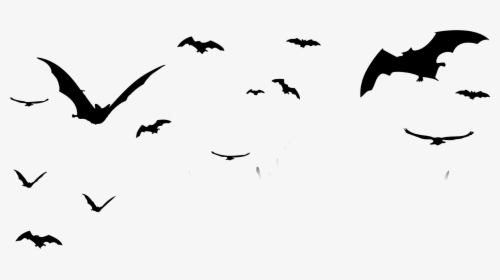 #ftestickers #bats #halloween #birds #bat #bird #silhouette - Transparent Background Halloween Png, Png Download, Free Download