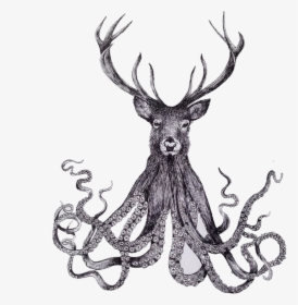 Collection Of Free Octopus Drawing Hand Download On - Deer Octopus, HD Png Download, Free Download