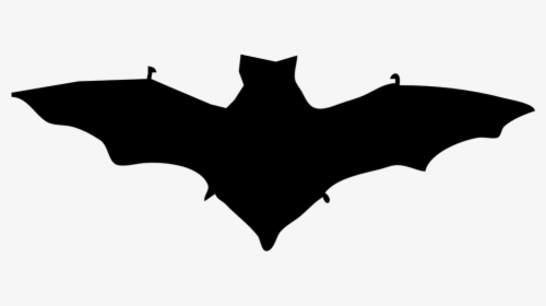 Bat, Dracula, Silhouette, Mammal, Halloween, Horror - Bat Clip Art, HD Png Download, Free Download