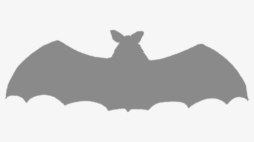 Transparent Bat Silhouette Png - Bat, Png Download, Free Download
