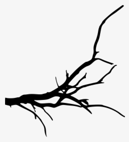 Branch Tree Silhouette Clip Art - Transparent Background Tree Branches, HD Png Download, Free Download