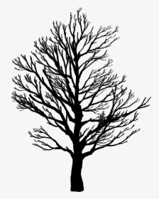 Barren Tree Silhouette - Barren Tree Silhouette Png, Transparent Png, Free Download