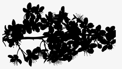 Botany,plant,flower, HD Png Download, Free Download