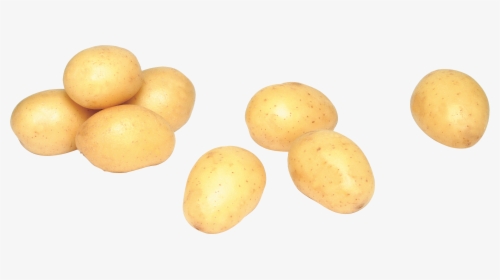 Potato Png Images - Russet Burbank Potato, Transparent Png, Free Download